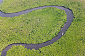 Luftaufnahme vom Segelboot und dem Regenwald, Daintree River, Daintree-Nationalpark, Queensland Australien