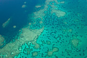 Great Barrier Reef, Nord-Queensland, Australien