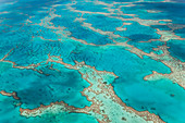 Luftaufnahme des Great Barrier Reef, Queensland, Australien