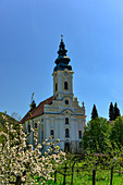 Engelszell Abbey on the Danube with blossoming trees, Engelhartszell, Austria