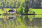 Ein typisches Haus liegt einsam direkt an der Donau, Schlögen, Österreich
