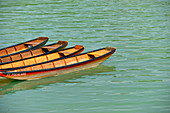 Mehrere Ruderboote auf der Donau bei Pöchlarn, Österreich
