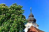Kirchturm und blühender Kastanienbaum in Zwentendorf an der Donau, Wachau, Niederösterreich, Österreich