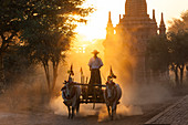 Bullock cart and pagoda at sunset in Bagan, Myanmar