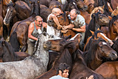 Sabucedo, Galicien, Spanien - 4. Juli 2015: Männer treiben Wildpferde zusammen