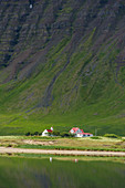 Kirche und Ackerland auf Dyrafjordur, Westfjorde. Island.