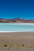 Blick auf die Laguna Tuyajto im Los Flamencos Nationalreservat in der Nähe von San Pedro de Atacama in der Atacamawüste, Nordchile.