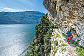 Pregasina, Riva del Garda, Lake Garda, Trento province, Trentino Alto Adige, Italy, Europe. Climbers on the "Via dei Contrabbandieri" (also named Via Torti) high above the Garda Lake
