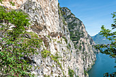 Pregasina, Riva del Garda, Gardasee, Provinz Trient, Trentino-Südtirol, Italien, Europa. Kletterer auf der &quot,Via dei Contrabbandieriundquot; (auch Via Torti genannt) hoch über dem Gardasee