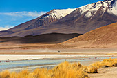 Salar de Uyuni, Potosi, Bolivia, South America