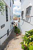 Alte Gasse mit den traditionellen weiß getünchten Häusern, Zahara de la Sierra, Provinz Cadiz, Andalusien, Spanien
