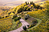 Sangiovese Weinberge nahe Gaiole im Chianti, Provinz Florenz, Toskana, Italien