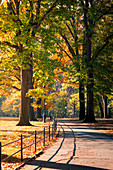 Zentralpark während des Herbstes, Manhattan, New York, USA