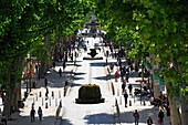 Frankreich, Bouches du Rhone, Aix en Provence, Cours Mirabeau, Moosbrunnen, La Rotonde im Hintergrund