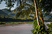 Mekong, Luang Prabang, Laos, north, Southeast Asia, Asia, river, palm trees,