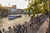 France, Paris, the banks of the Seine listed as World Heritage by UNESCO, the Notre Dame Cathedral on the Ile de la Cite since the quay of the City hall