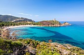 France, South Corsica, Zonza, beach and genoese tower of Fautea