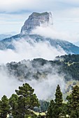 Frankreich, Isere, Vercors Regionaler Naturpark, Nationales Naturschutzgebiet des Vercors-Hochlandes, Mount Aiguille (Höhe: 2087 m)