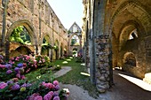 Frankreich, Cotes d'Armor, Halt auf dem Jakobsweg, Paimpol, Beauport Abtei aus dem 13. Jahrhundert, innerhalb der Abteikirche