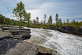 Rapids at Kjerringvatnet near Trofors, Nordland, Norway, Europe