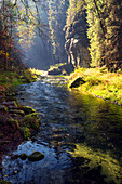 Kamnitz, river, autumn, foliage color, national park, Bohemian Switzerland, Czech Republic, Europe