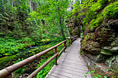 Kamnitz, Fluss, Steg, Wanderweg, Mezni Louka, Nationalpark, Böhmische Schweiz, Tschechien, Europa 