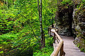 Kamnitz, river, footbridge, hiking trail, Mezni Louka, National Park, Bohemian Switzerland, Czech Republic, Europe