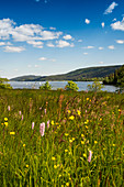 Schluchsee, Südschwarzwald, Schwarzwald, Baden-Württemberg, Deutschland