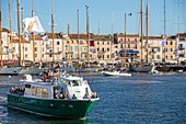 Frankreich, Var, Saint-Tropez, der Hafen, die traditionellen Yachten anlässlich der &quot,Voiles de Saint-Tropezundquot;