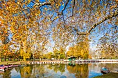 France, Paris, Bois de Vincennes, Daumesnil Lake in autumn