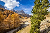 Frankreich, Hautes Alpes, Nevache, Claree-Tal, im Hintergrund das Massiv von Cerces (3093 m) und die Gipfel des Main de Crepin (2942 m)