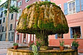 France, Var, Provence Verte, Barjols, fountain covered with tuff and moss in front of town Hall