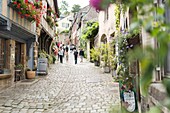 France, Cotes d'Armor, Dinan, Jerzual street