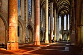 France, Haute Garonne, Toulouse, Jacobin convent, church