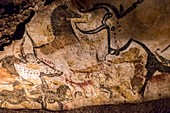 Frankreich, Dordogne, Perigord Noir, Vezere-Tal, prähistorische Stätte und dekorierte Höhle, die von der UNESCO zum Weltkulturerbe erklärt wurde, Montignac sur Vezere, Lascaux II., Dekorierte paläolithische Höhlen, Auerochsen, Pferde und Hirsche