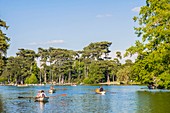 France, Paris, the Bois de Boulogne, Lower Lake