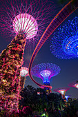 Supertrees of Gardens by the Bay with high level walkway, at night, Singapore, Southeast Asia, Asia