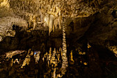 Carlsbad Caverns, The Big Room, UNESCO World Heritage Site, Carlsbad, New Mexico, United States of America, North America