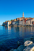Blick auf den Hafen und die Altstadt mit der Kathedrale St. Euphemia, Rovinj, Istrien, Kroatien, Adria, Europa