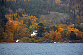 Autumn near Trondheim, Trondheimsfjorden, Soer-Troendelag Province, Troendelag, Norway, Europe