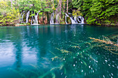 Nationalpark Plitvicer Seen, UNESCO-Weltkulturerbe, Kroatien, Europa