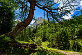 Auf dem Weg zur Sonnenspitze, Ehrwald, Tirol, Österreich