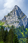 Blick hoch zum Geiselstein, Halblech, Ammergauer Alpen, Bayern, Deutschland