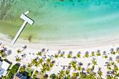 Aerial view by drone of beach umbrellas on tropical palm-fringed beach washed by Caribbean Sea, Antilles, West Indies, Caribbean, Central America