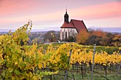 Maria in the vineyard near Volkach am Main, Lower Franconia, Bavaria, Germany