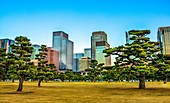 Japan,Tokyo City, Marunouchi District Skyline