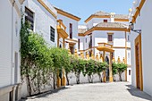 Ein buntes Gebäude in Sevilla, Spanien