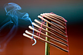 Burning spiral incense sticks in Taoist ceremony, Mau Son Taoist temple, Sapa, Vietnam, Indochina, Southeast Asia, Asia