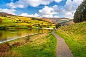 View of autumn colours at Ladybower Reservoir, Derbyshire, Peak District National Park, England, United Kingdom, Europe