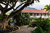 Montpelier Plantage, restaurierte Zuckerplantage, auf der Nelson heiratete, Boutique-Hotel, Nevis, St. Kitts und Nevis, Westindische Inseln, Karibik, Mittelamerika